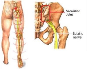 sacro iliac joint